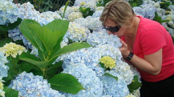 Елена Кузнецова