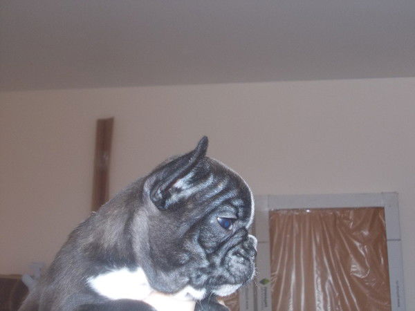 Натали Пастухова