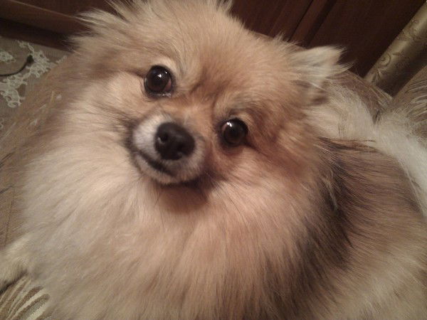 Светлана Виноградова