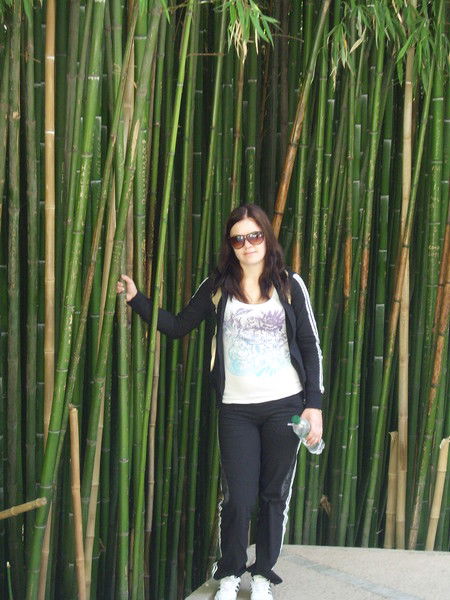 Марина Александрова