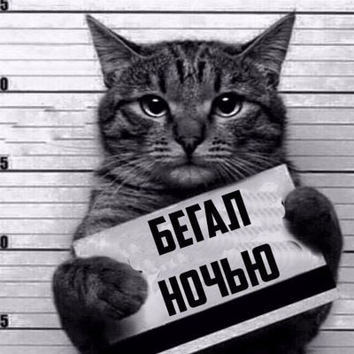 Иван Никифоров