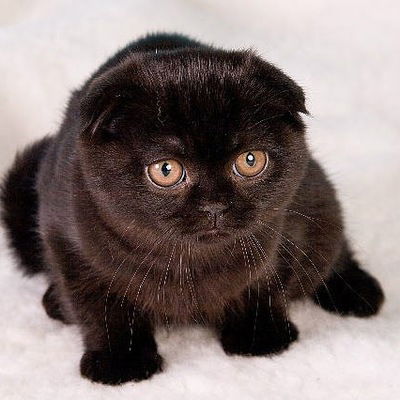 Руслан Гранкин