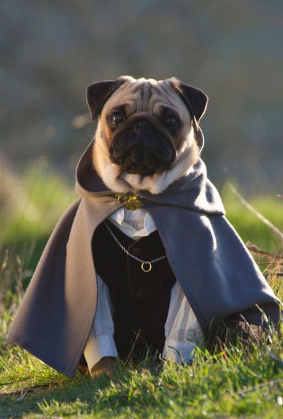 Михаил Майоров