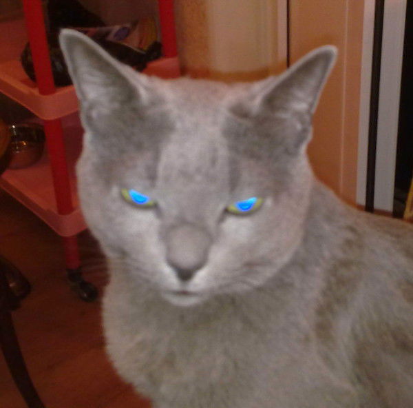 Владимир Вереня