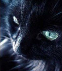 Вика Загоскина