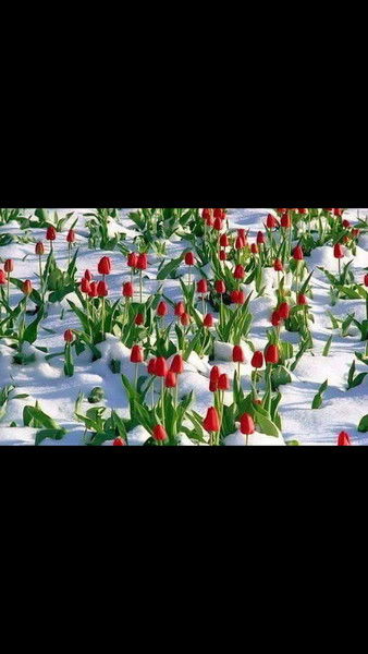 Накопительный Сектор