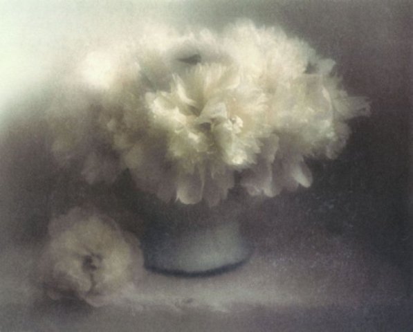 Твое Настроение