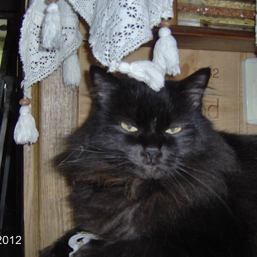 Александр Люташин