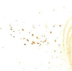 Груздев Николай