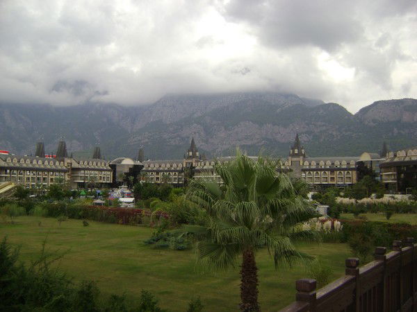 Ирина Стрельникова