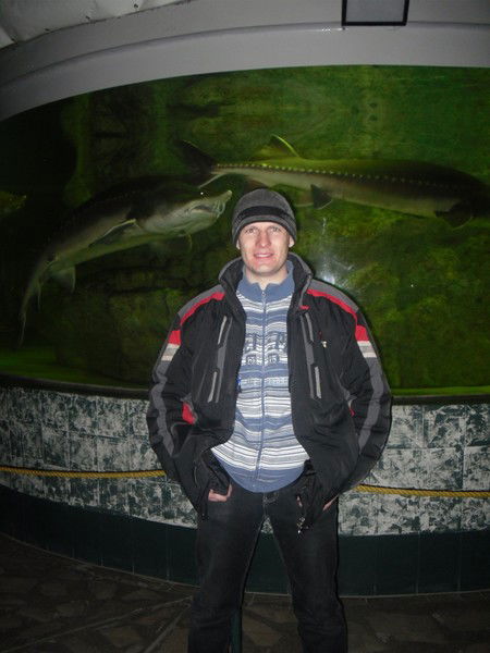 Илья Покритюк