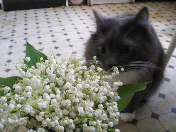 Татьяна Пономарева