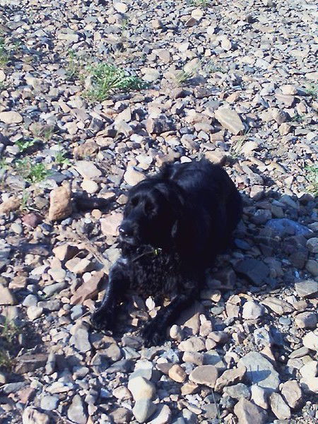 Сергей Чернышов