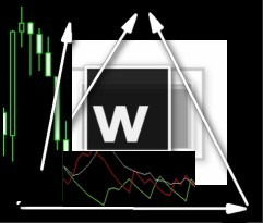 Роман Волощук