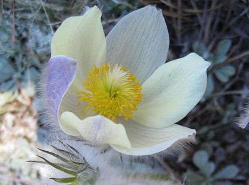 Тамара Агеева