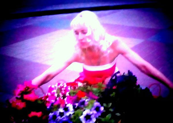 Lariska.egorova.2015