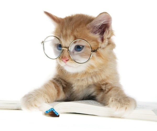 Раиса Мурзакова