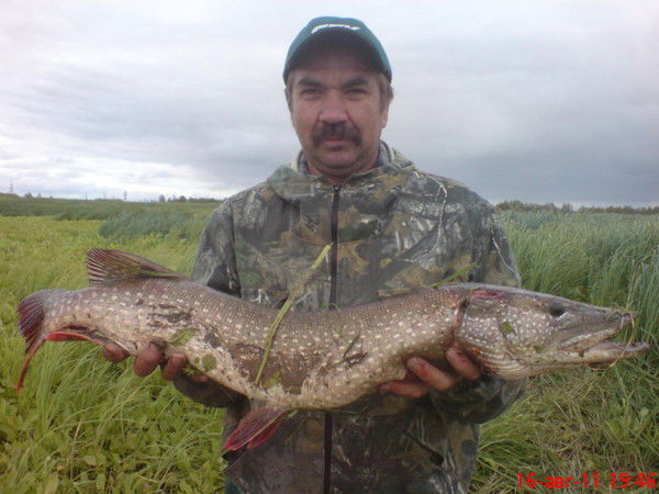 Александр Тимченко