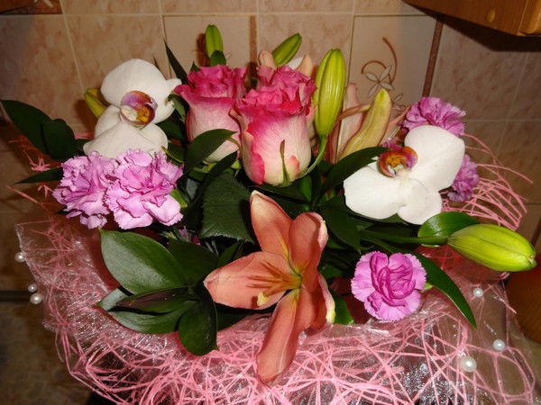 Елена Ремезова