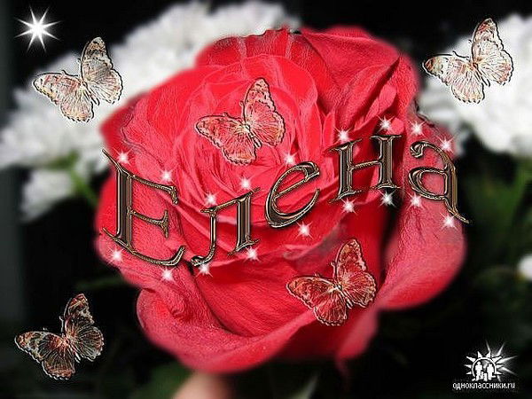 Лена Зейналова