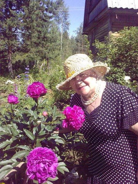 Элеонора Ерохина