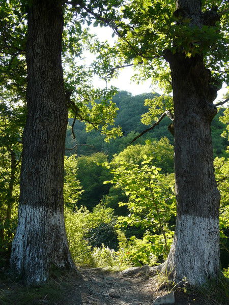 Денис Давыдов