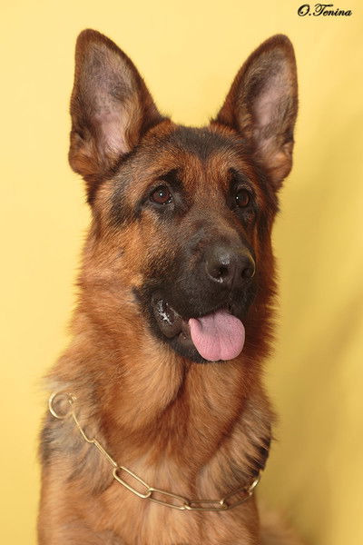 Надежда Юркова