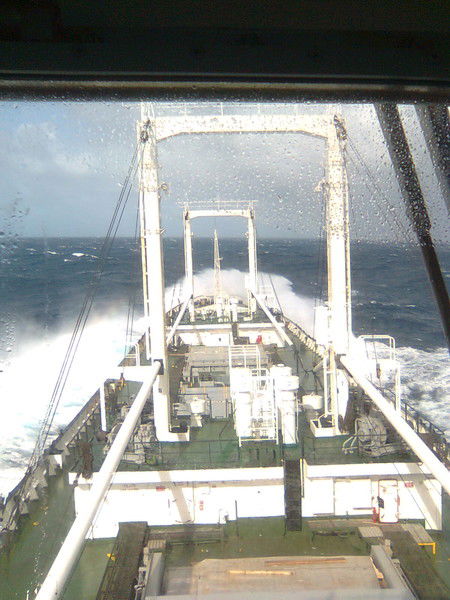 Андрей Белеванцев