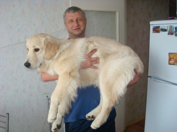 Андрей Осипов