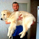Андрей Осипов