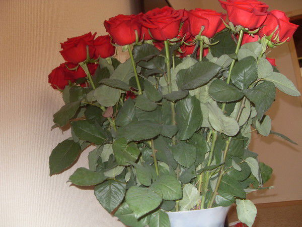 Анастасия Филатова