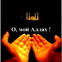 Mehmet Celİk