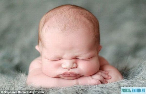 Алексей Рогальский