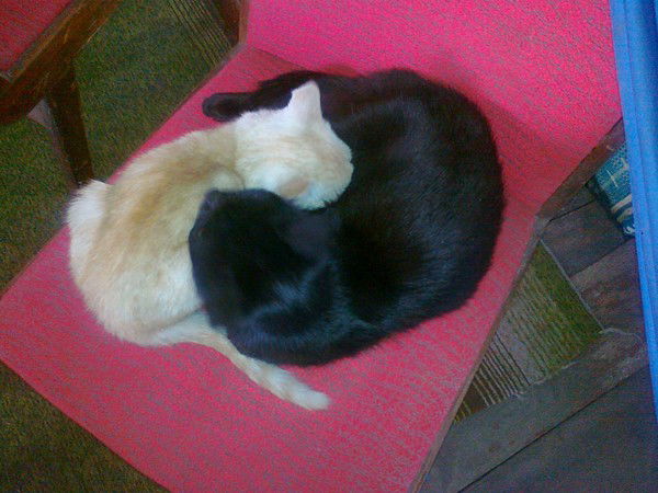 Юля Ковалева