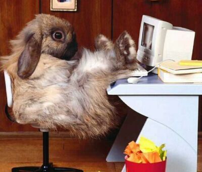 Данат Набиев