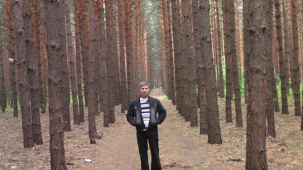 Михаил Васильевич Бахметьев