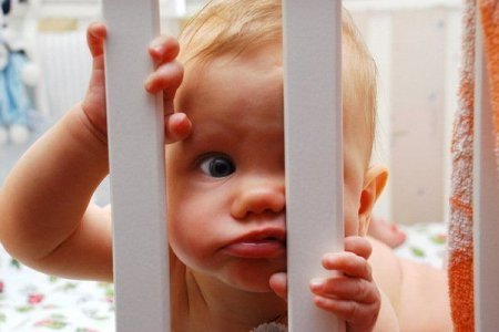 Александр Фалько