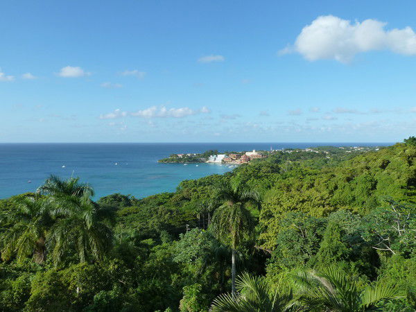 Нелли Цветкова