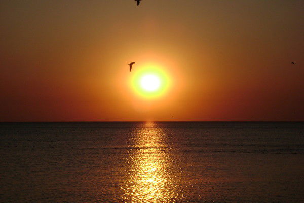 Рашид Юмагужин