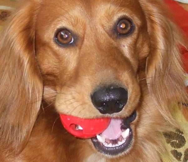 ...святослав ...