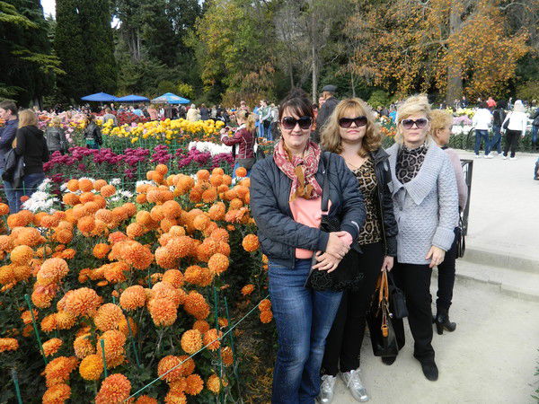 Влада Шевченко