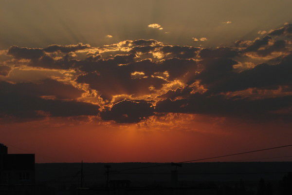 Алексей Лапушкин