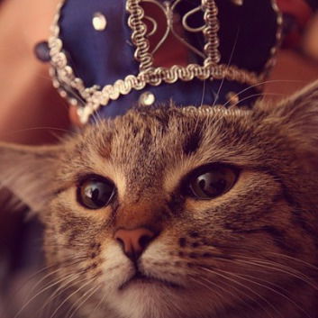 Олег Шипилов