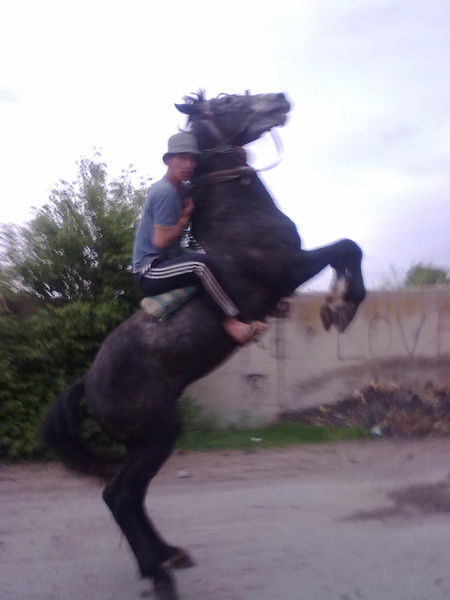 Бахтияр Аманжолов