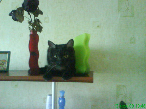 Ирина Ирина