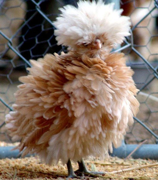 Катюня @@@@@@@@@