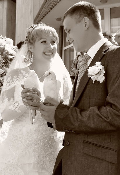 Роза Ветров