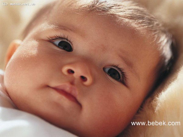 Татьяна Катренко