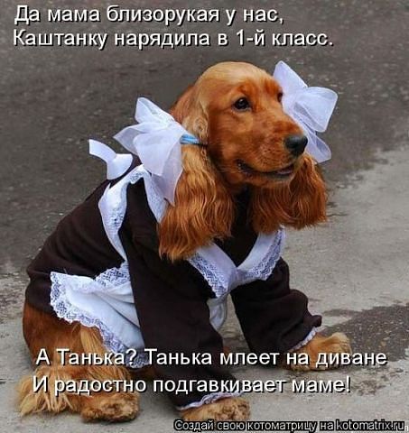Татьяна Бабич