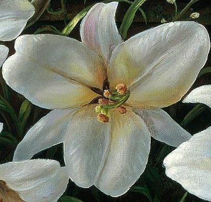 Гульбахар Атаниязова